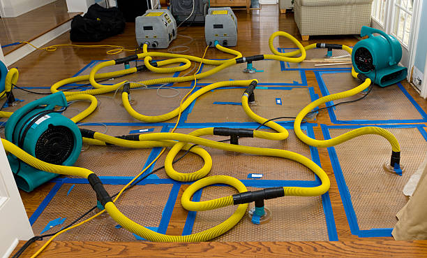 Professional Basement Flood Cleanup technician working in Beltsville, MD
